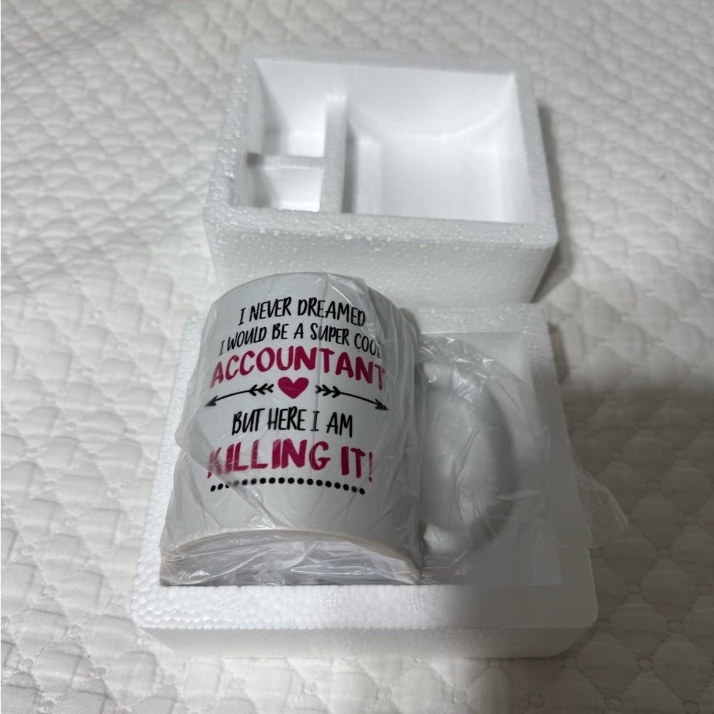 Super Cool Accountant Mug